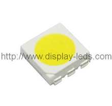 5050 PLCC6 Top SMD LED en blanco