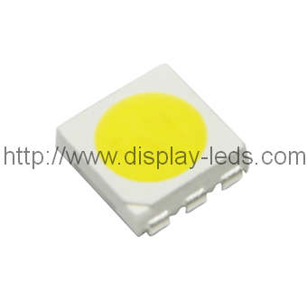 5050 PLCC6 Top SMD LED en blanco